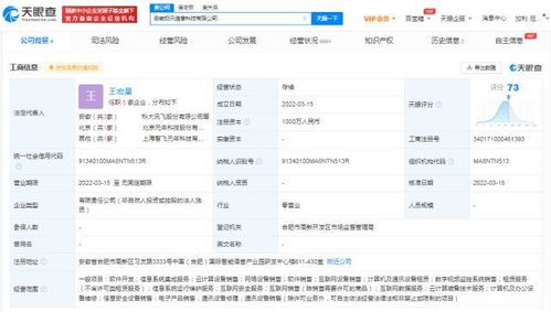 科大訊飛深耕軟件服務，安徽成立新公司加速業務版圖擴張